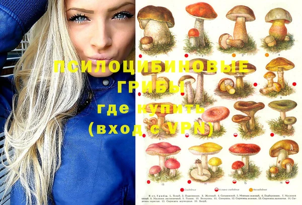 ECSTASY Белоозёрский