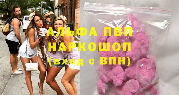 сатива Белокуриха