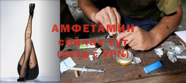 сатива Белокуриха